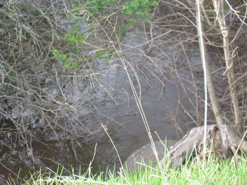 WhiteysHotel027.jpg24 APR 2004 - Whitey''s Hotel