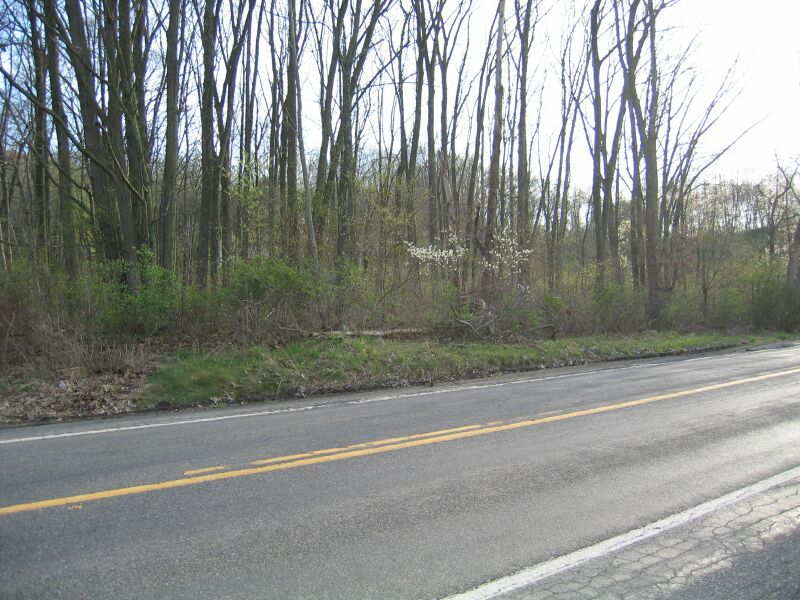 WhiteysHotel037.jpg24 APR 2004 - Whitey''s Hotel