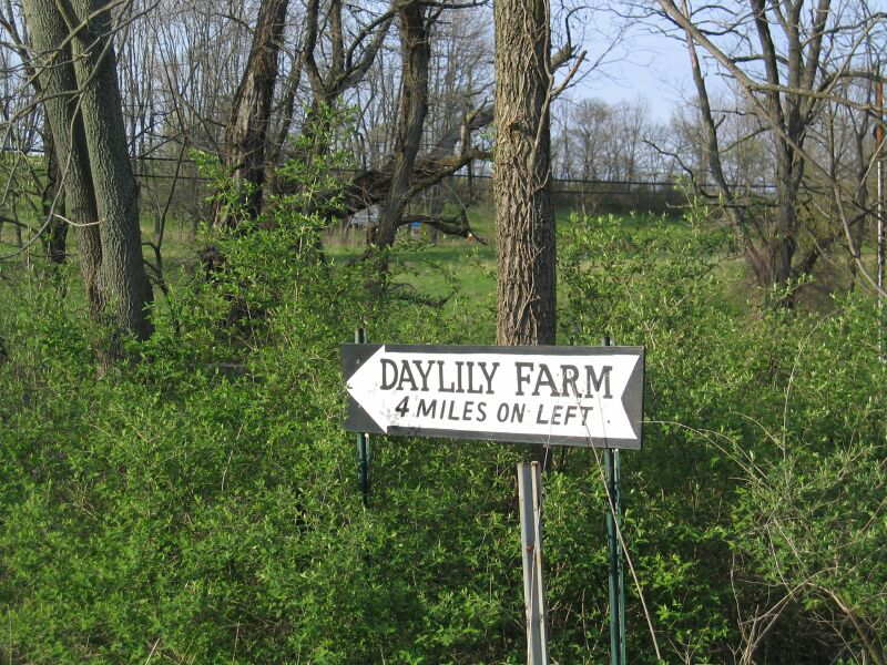 WhiteysHotel041.jpg24 APR 2004 - Whitey''s Hotel