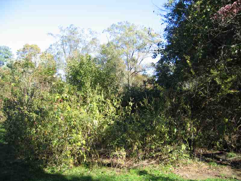 NewHouse005.JPGNew Project in Kent County