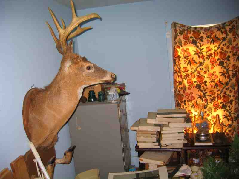 NewHouse033.JPGNew Project in Kent County